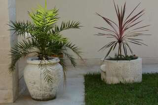 Виллы Vila Pelinovo Котор Вилла с 3 спальнями-8